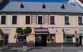 Hotel Jelen